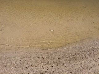 wave on the sand close up