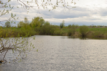 Lakeside with vegetation on a cloudy spring day