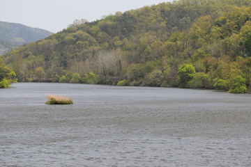 호수가 보이는 아름다운 풍경