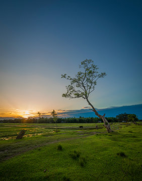 Beautiful scenery of Nature in Jorhat, Assam.
