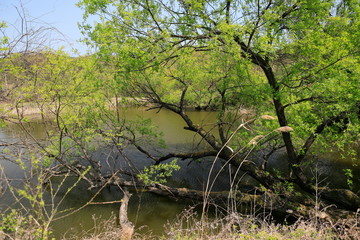 호수가 보이는 아름다운 풍경