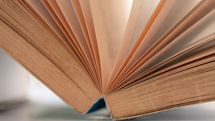 Closeup  The ridge of the old books in brown, vintage style. Concept Articles about old knowledge or memories.