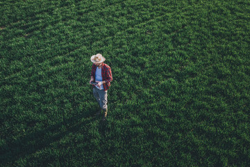 Wheat farmer using drone remote controller in wheatgrass field, aerial