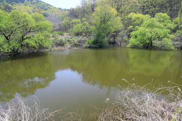 호수가 보이는 아름다운 풍경
