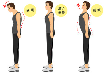 3 442 Posture Right Wall Murals Canvas Prints Stickers Wallsheaven