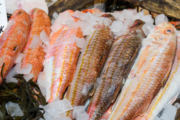 Fresh seafood on ice at the market