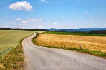 Fototapeta na wymiar Narrow countryside road through agricultural fields