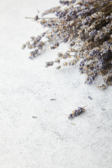 Lavender flowers on a bright background