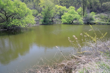 호수가 보이는 아름다운 풍경