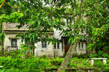 Old abandoned house in forest