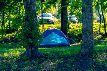 Blue tent in a camping forest