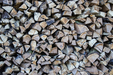 Holzvorrat für den Winter im Wald