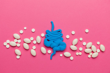 Treatment and prevention of constipation and diarrhea. Intestinal microflora and probiotics....