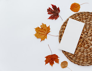 Flat Lay with blank paper and autumn leaves. Minimal Autumn or Winter concept. Mock up,  top view