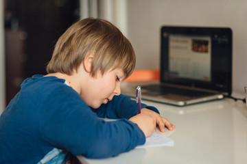 Boy studying online watching his lesson on notebook PC. Studying home
