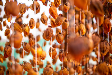 Japanese Dried Persimmon (Hoshigaki) hanged on strings to dry a common sight in Da Lat, Vietnam and placed in an airtight house. Good for health.