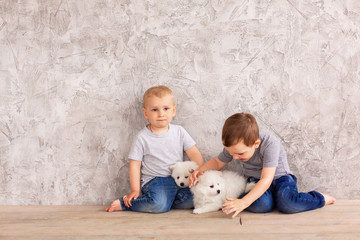 Two cute little baby boys playing with little white puppies