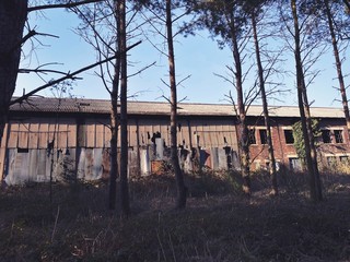 An old derelict industrial building is seen surrounded by pine trees in a forest. Nature reclaims...