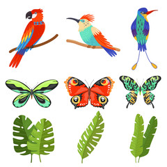 Tropical Collection, Exotic Butterflies, Birds with Bright Colorful Plumage, Green Leaves of Palm Trees Vector Illustration