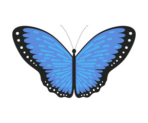 Blue Tropical Butterfly, Beautiful Colorful Flying Insect for Decorative Element Vector Illustration