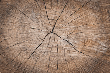 a background of a wooden stump