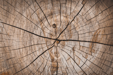 a background of a wooden stump