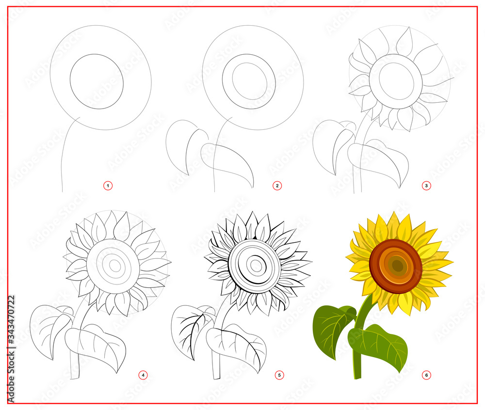 Wall mural page shows how to learn to draw step by step beautiful sunflower. developing children skills for dra