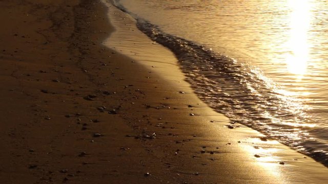 Gentle ocean waves in golden hour including sound, golden color 