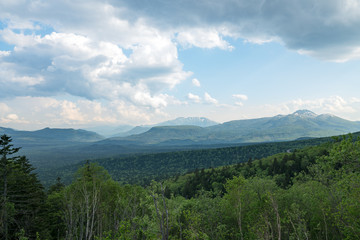 北海道三国峠でみる緑の景色