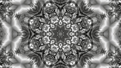 beautiful fractal abstract flower in black and white design consisting of various fractal ornaments in neon light