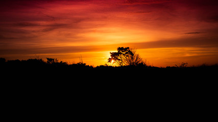 Fototapeta na wymiar Silhouette Sunset 