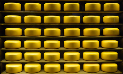 Fresh cheese on a shelf in a store.