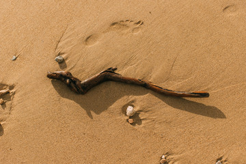 top view of stick on sandy beach