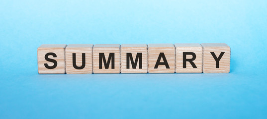summary inscription on wooden cubes on a bluebackground