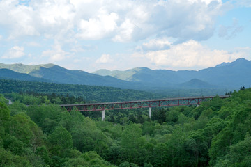 北海道三国峠でみる緑の景色
