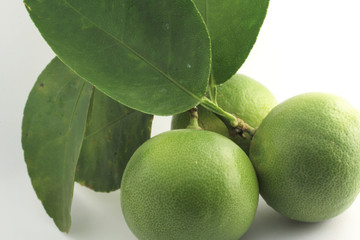 Graphic resources of an isolated lemon object. Fresh autumn harvest of juicy lemon. Close-up of a lemon on a white background. Ingredient for a healthy diet.