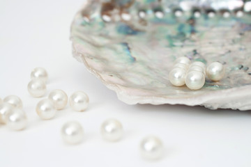 Blue and gray sea shell with little round pearls inside and infront isolated white background