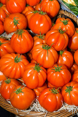 Local produce for sale at the market. tomatoes