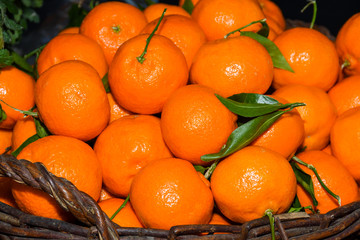 Local produce for sale, oranges