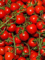 Local produce for sale, cherry tomatoes