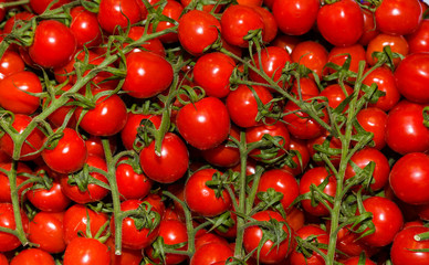 Local produce for sale, cherry tomatoes