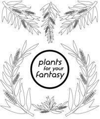 Blätter als Vektoren, nur Outlines, auf transparentem Hintergrund zur Gestaltung, schwarz und weiß