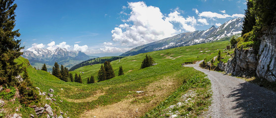 Panorama Alpenlandschaft mit Straße und Bergwiesen bei den Churfirsten in der Schweiz
