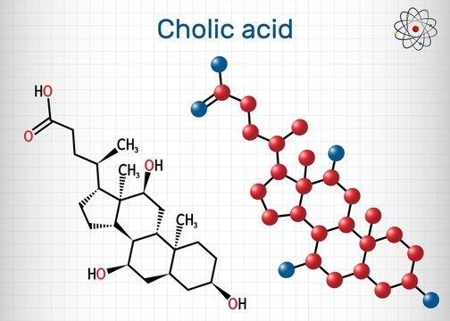 Cholic acid, C24H40O5 molecule. It is major primary bile acid produced in liver. Nutritional supplement E1000.  Structural chemical formula, molecule model. Sheet of paper in cage. Vector illustration