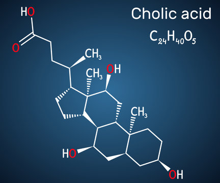 Cholic acid, C24H40O5 molecule. It is major primary bile acid produced in the liver. Nutritional supplement E 1000.  Structural chemical formula on the dark blue background