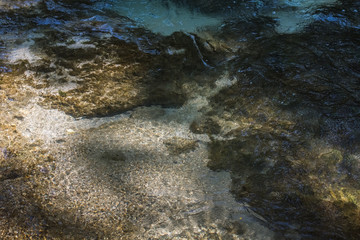 klares wasser in einem bach in der natur beim wandern