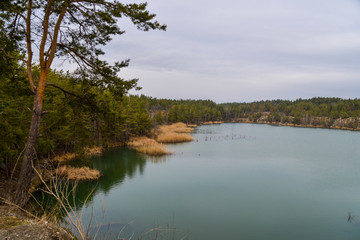 lake in the forest