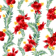 Fototapeten Seamless pattern of beautiful Hibiscus, © daicokuebisu