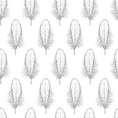 Black and White Fluffy Bird Feathers