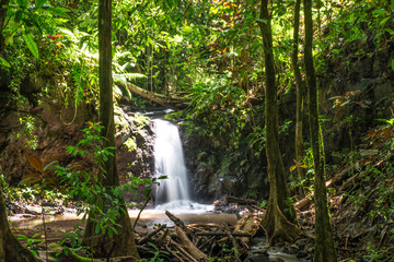 Cascade à Tahiti